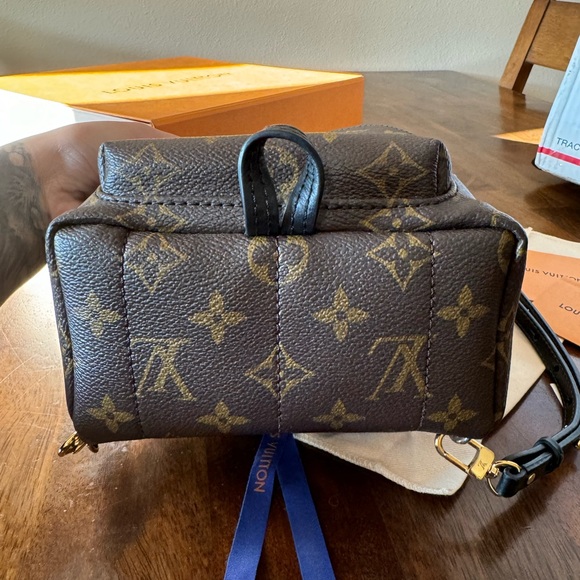 Louis Vuitton Palm Springs PM - Picture 13 of 15